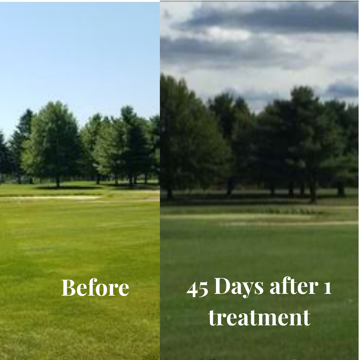 VITAL Blend Granular BioChar Soil Amendment